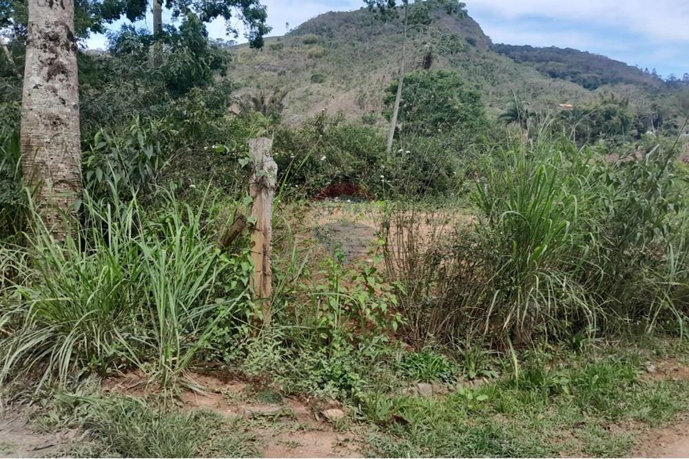 Chácara / Sítio / Fazenda - Venda - Bom Jardim , Rio de Janeiro - WhatsApp Image 2025-11-06 at 12.13.06.jpeg - 630171007-59