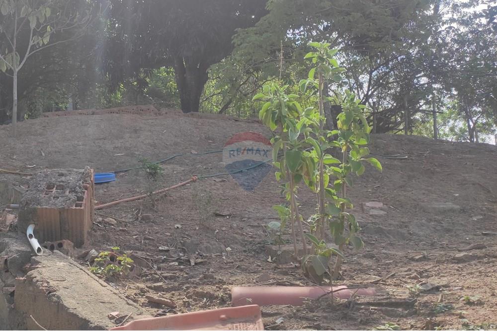 Terreno - Venda - Paraíba do Sul , Rio de Janeiro - IMG_20251106_135552.jpg - 631411001-102