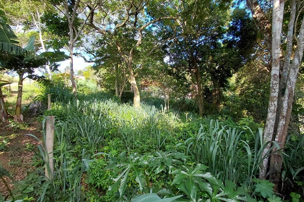 Terreno - Venda - Armação dos Búzios , Rio de Janeiro - 20260206_163755.jpg - 630391071-28