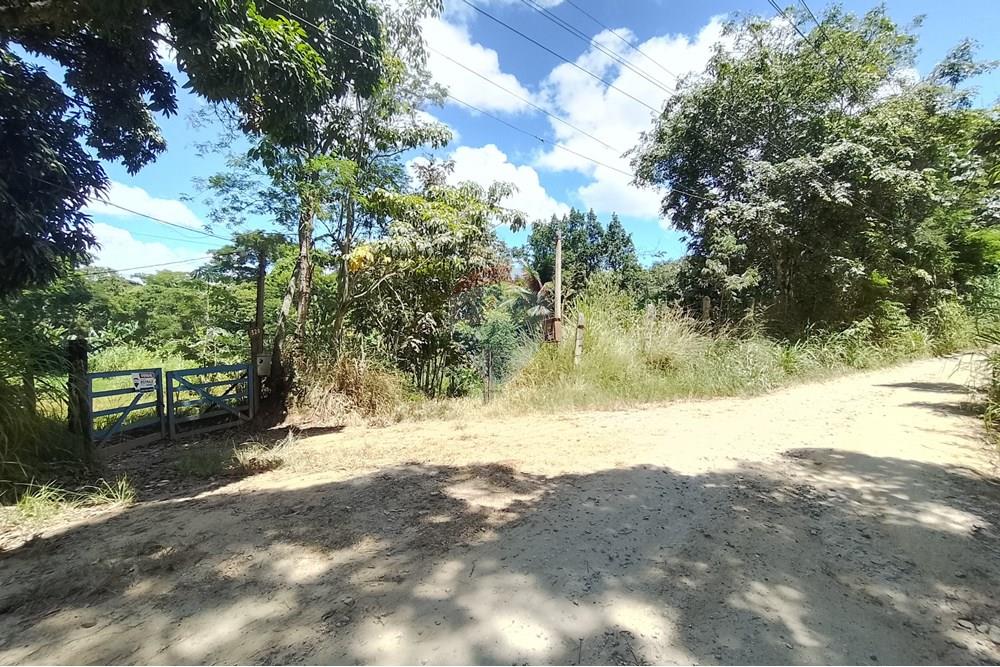 Terreno - Venda - Paraíba do Sul , Rio de Janeiro - IMG_20250225_112908_HDR.jpg - 631411001-104