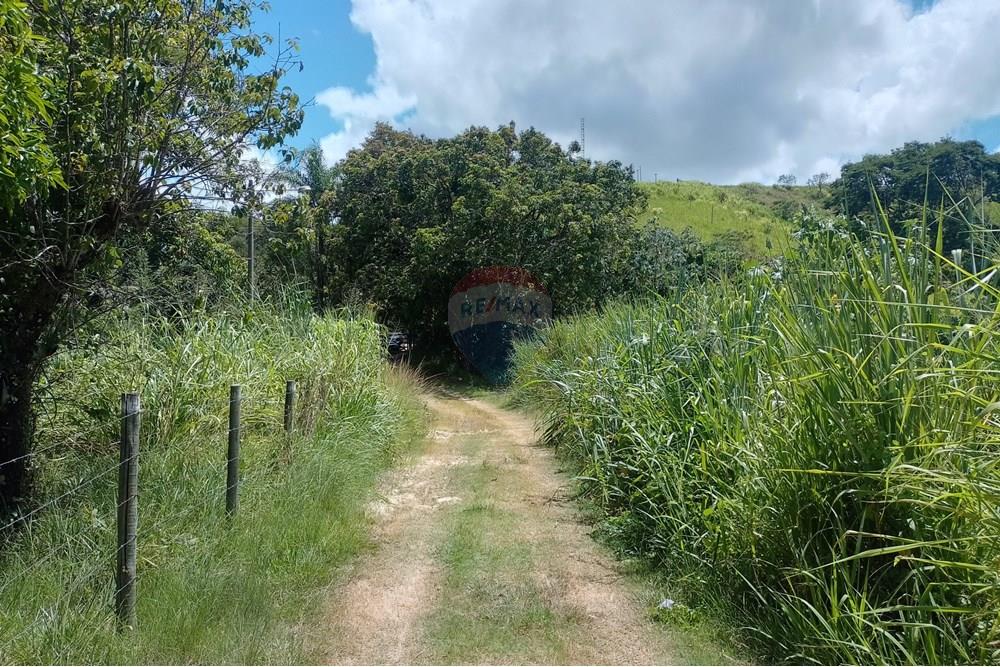 Terreno - Venda - Paraíba do Sul , Rio de Janeiro - IMG_20250225_111644_HDR.jpg - 631411001-104