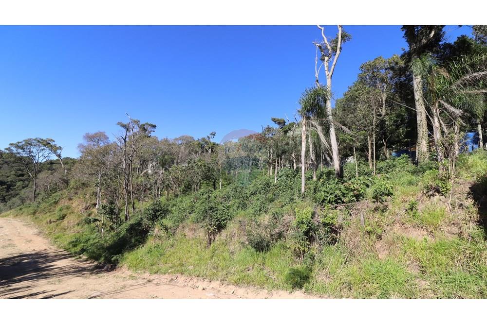 Terreno - Venda - Mairiporã , São Paulo - foto pico 7.JPG - 631361041-34
