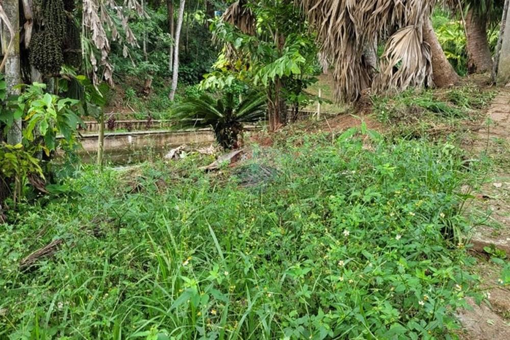 Terreno - Venda - Teresópolis , Rio de Janeiro - WhatsApp Image 2026-03-11 at 07.51.25.jpeg - 630191030-40