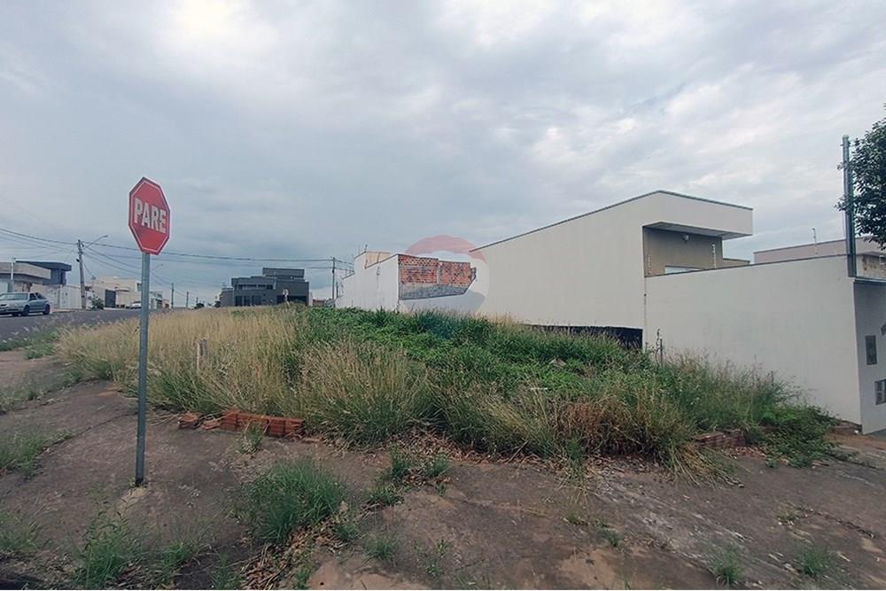 Terreno - Venda - Presidente Prudente , São Paulo - IMG_20251028_145647.jpg - 630861066-14