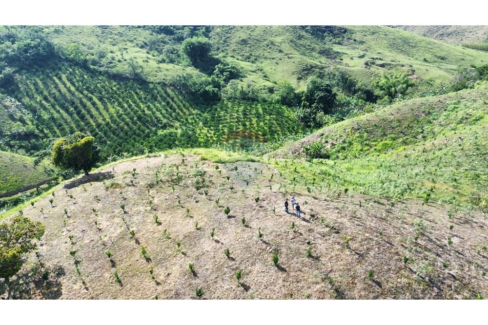 Terreno - Venda - Rio Bonito , Rio de Janeiro - WhatsApp Image 2026-03-13 at 11.17.25.jpeg - 631351028-14