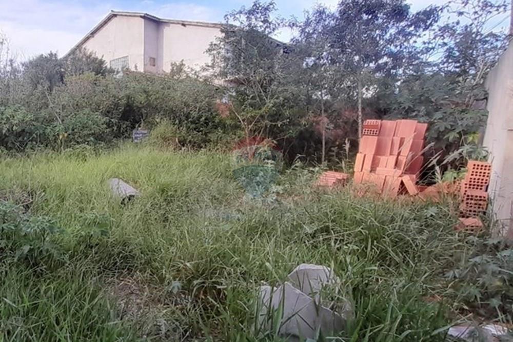 Terreno - Venda - Armação dos Búzios , Rio de Janeiro - WhatsApp Image 2025-12-18 at 09.05.56.jpeg - 630391089-40