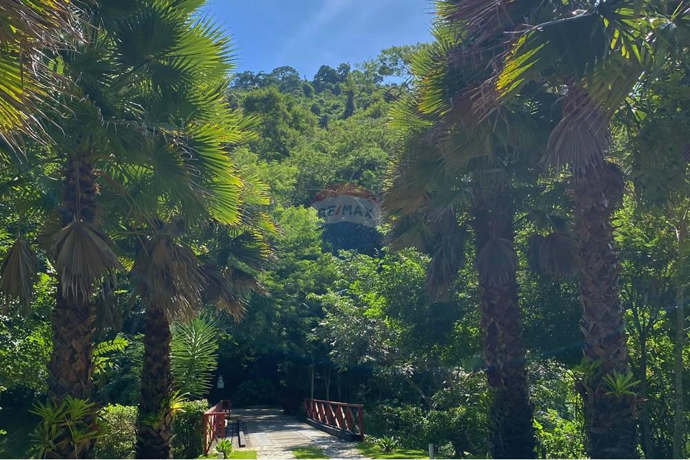 Terreno - Venda - Petrópolis , Rio de Janeiro - WhatsApp Image 2025-04-23 at 15.04.12 (1).jpg - Jardim Externo - 631611008-1