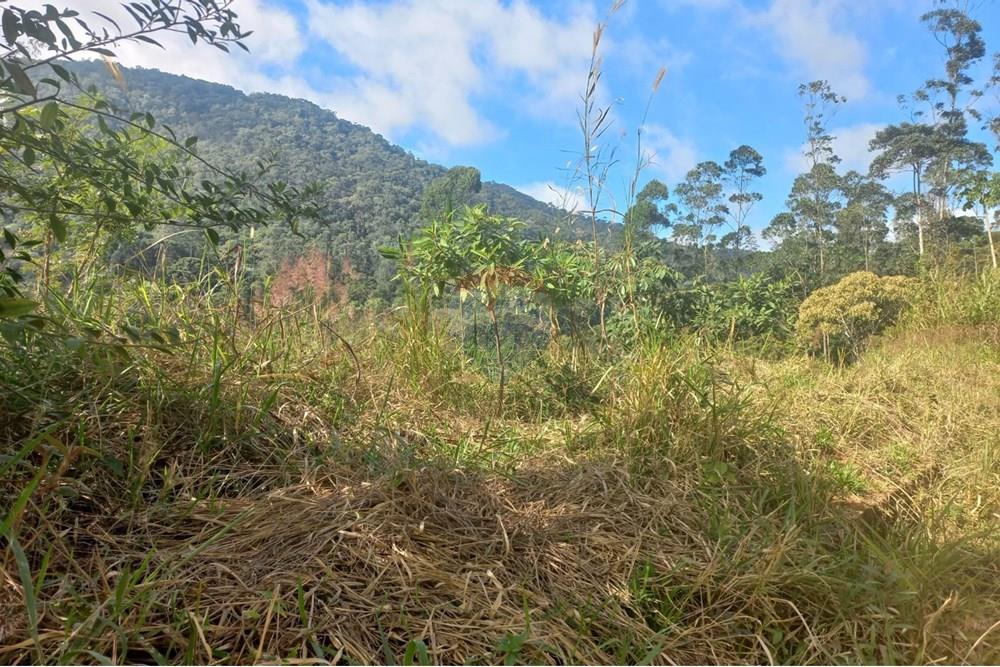 Terreno - Venda - Nova Friburgo , Rio de Janeiro - WhatsApp Image 2025-06-09 at 09.55.52 (1).jpeg - 630551037-30