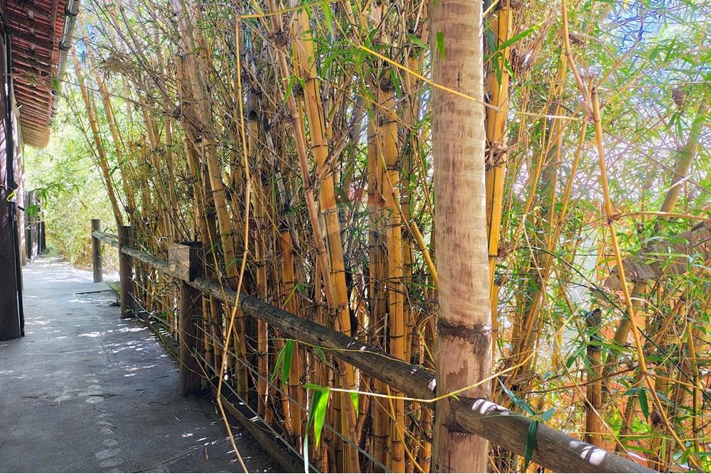 Outros - Alugar - Rio de Janeiro , Rio de Janeiro - IMG_20251110_142310240_HDR_AE.jpg - 630121005-376