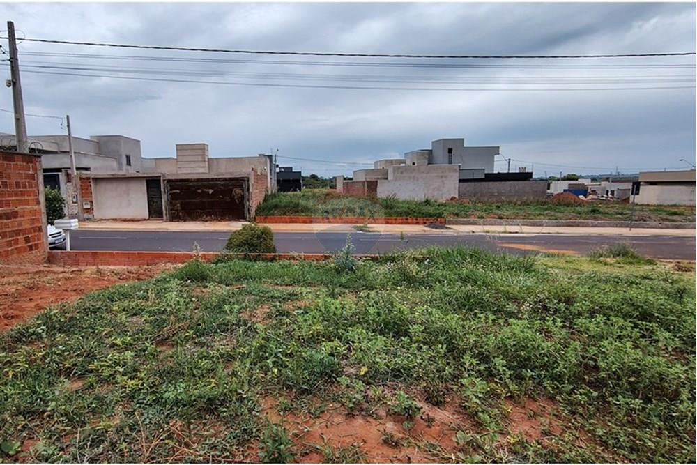Terreno - Venda - Mirassol , São Paulo - IMG_20251202_115221020_HDR.jpg - 630401039-14