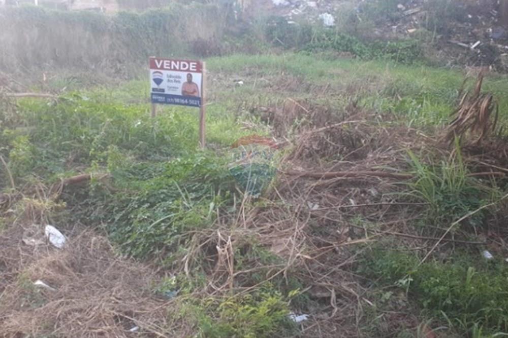 Terreno - Venda - São José do Rio Preto , São Paulo - chrome_NIE2ESIYVI.jpeg - 631321001-116