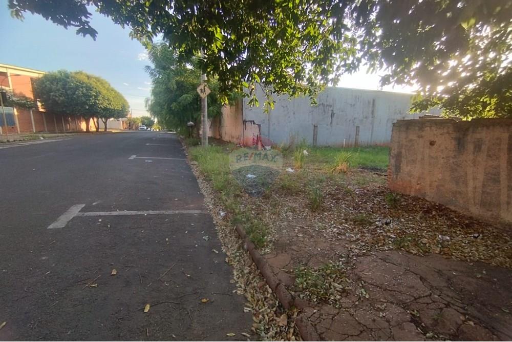 Terreno - Venda - Andradina , São Paulo - WhatsApp Image 2025-03-10 at 13.23.29 (2).jpeg - 631201035-25