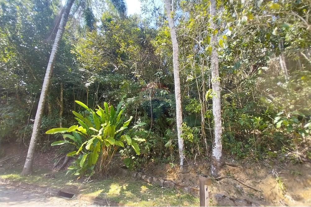 Terreno - Venda - Ubatuba , São Paulo - 20251001_094546.jpg - 631571010-2