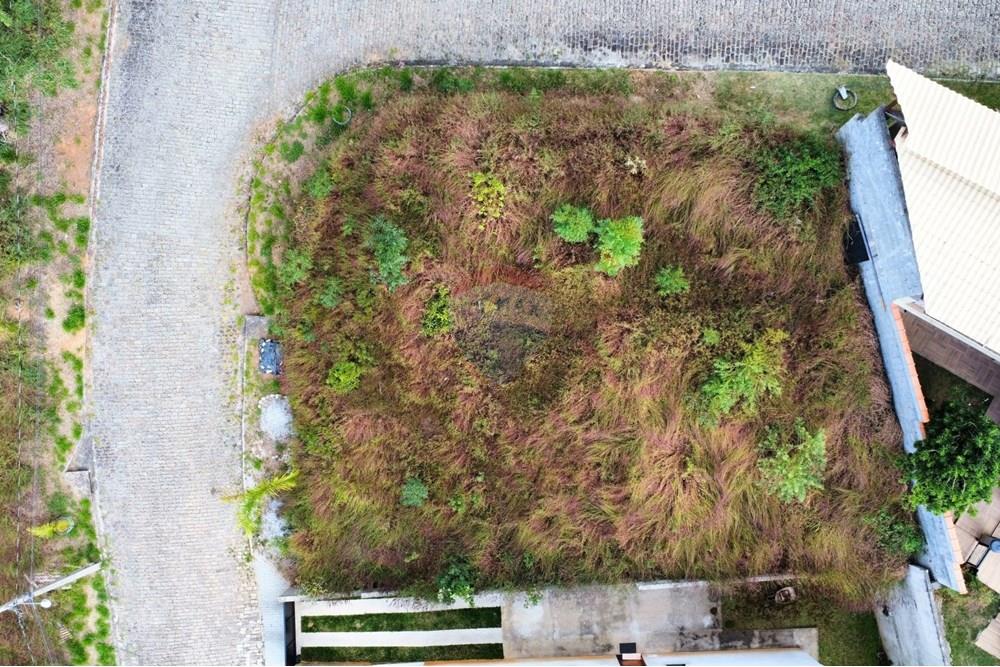 Terreno - Venda - Nova Friburgo , Rio de Janeiro - Foto Terreno  (7).jpg - 631671010-1