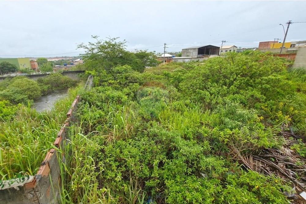 Terreno - Venda - Cabo Frio , Rio de Janeiro - 20260122_121520.jpg - 631551041-6