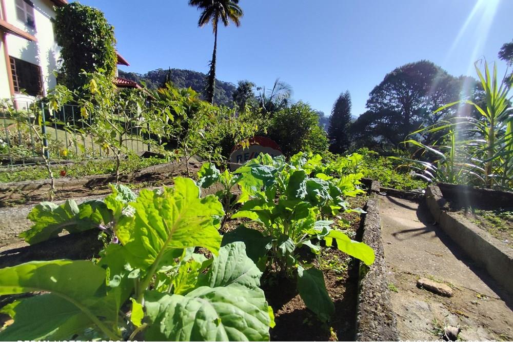 Casa - Alugar - Teresópolis , Rio de Janeiro - WhatsApp Image 2025-07-09 at 10.13.26.jpeg - 630191021-121