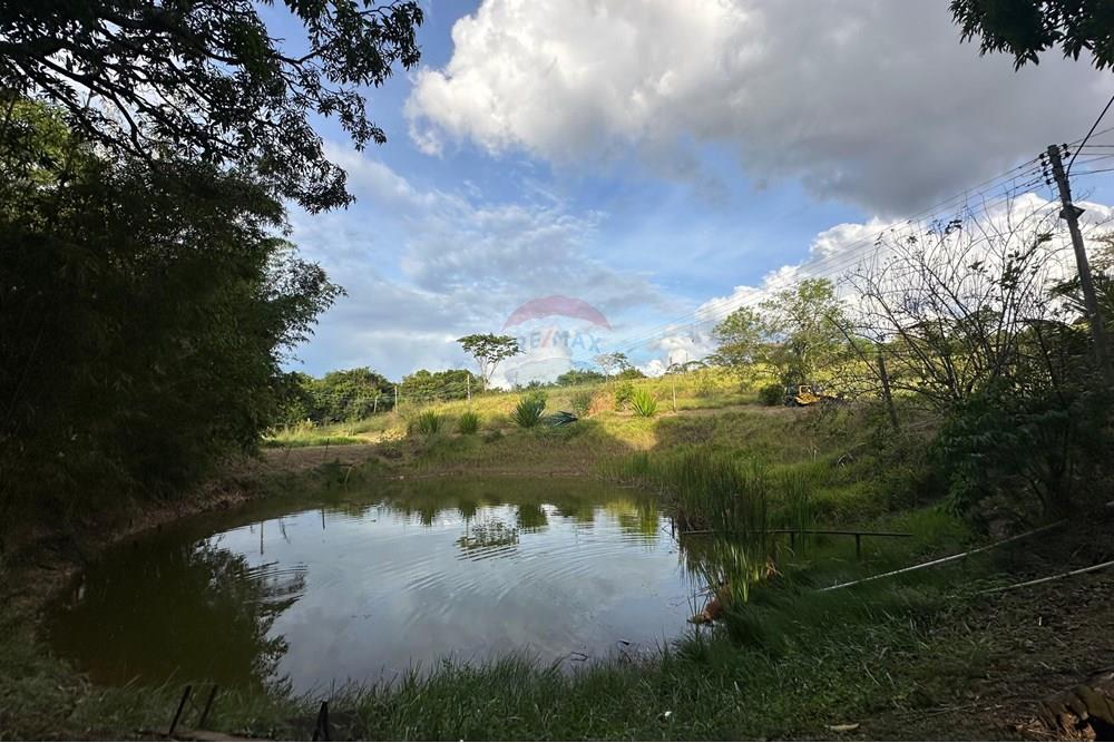 Chácara / Sítio / Fazenda - Venda - Bauru , São Paulo - 36.jpg - 631401012-35