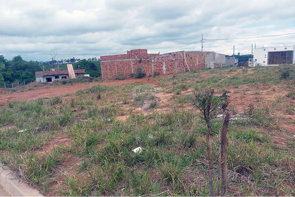 Terreno - Venda - Presidente Prudente , São Paulo - 20251027_131505.jpg - 630861066-12