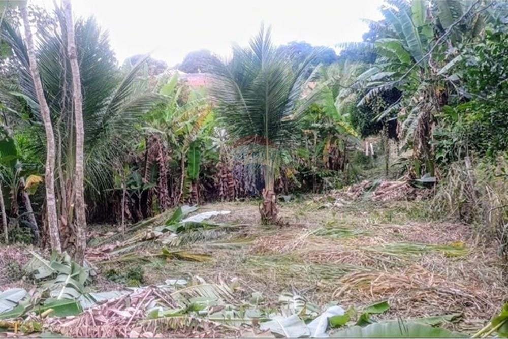 Terreno - Venda - Armação dos Búzios , Rio de Janeiro - WhatsApp Image 2025-05-29 at 13.32.04 (2).jpeg - 630391085-9