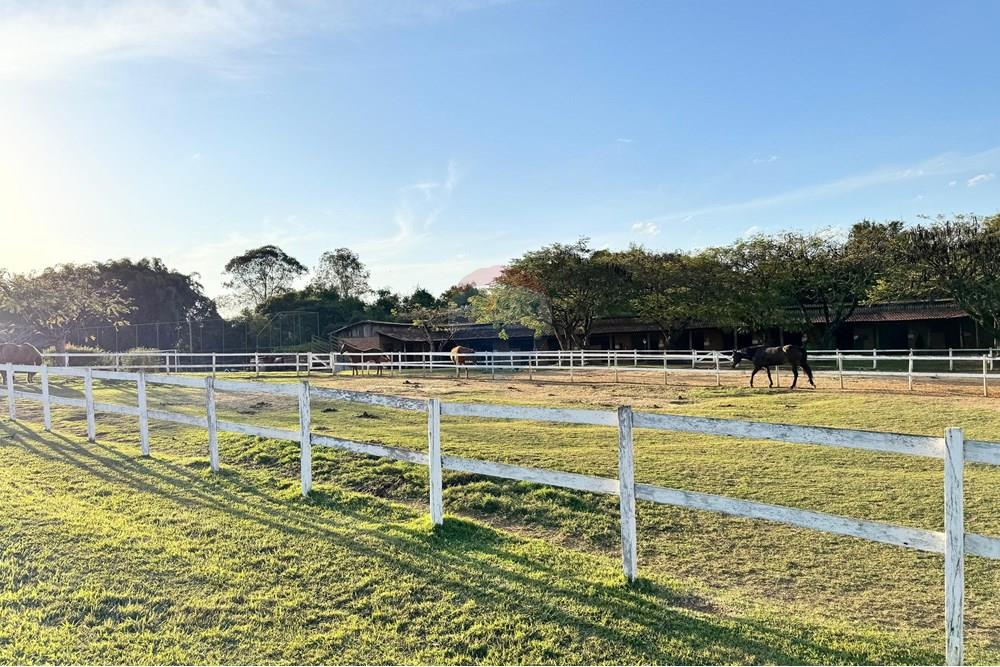 Terreno - Venda - Boituva , São Paulo - WhatsApp Image 2025-07-28 at 21.11.54.jpeg - 630591039-75