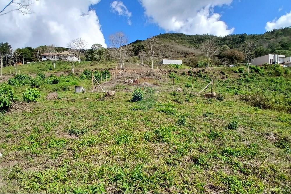 Terreno - Venda - Nova Friburgo , Rio de Janeiro - 20250915_135929.jpg - 630551084-30