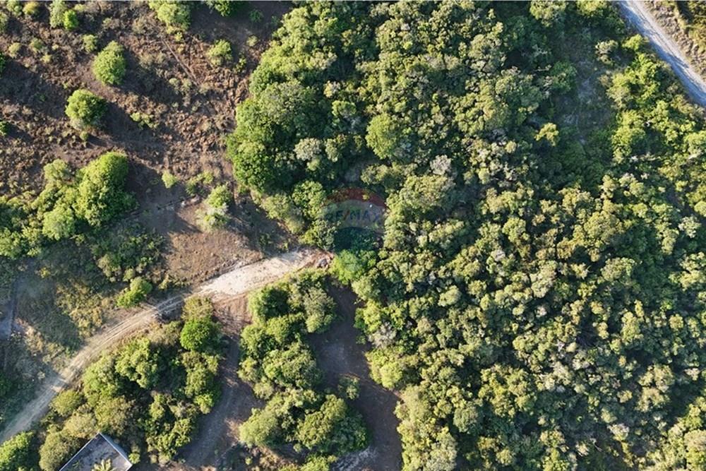 Terreno - Venda - Armação dos Búzios , Rio de Janeiro - dji_fly_20250318_170532_0054_1742330811652_photo.JPG - 630391033-21