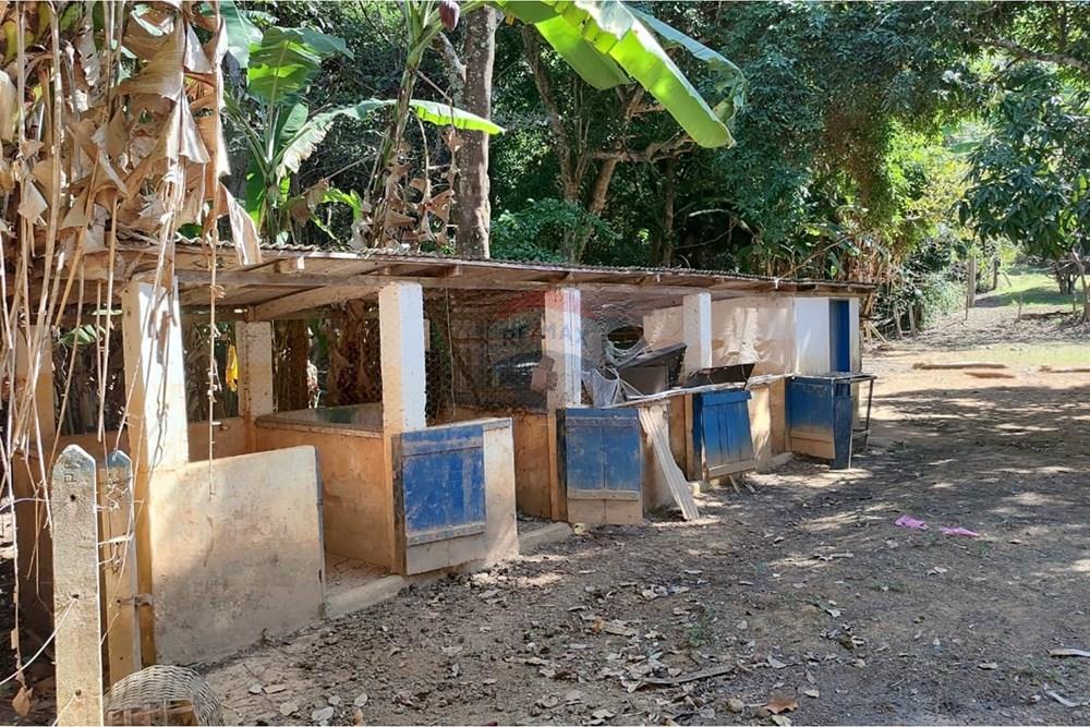 Chácara / Sítio / Fazenda - Venda - Sapucaia , Rio de Janeiro - WhatsApp Image 2026-02-09 at 10.38.37 (1).jpeg - 630191030-39