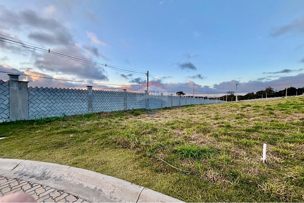 Terreno - Venda - Mogi das Cruzes , São Paulo - 28da94e7-bc62-42a2-9b22-2487ec1d3e00.jpg - 630281081-34