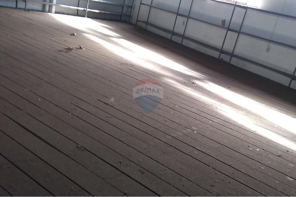 Galpão - Alugar - Lins , São Paulo - 5.jpg - 631011013-1237