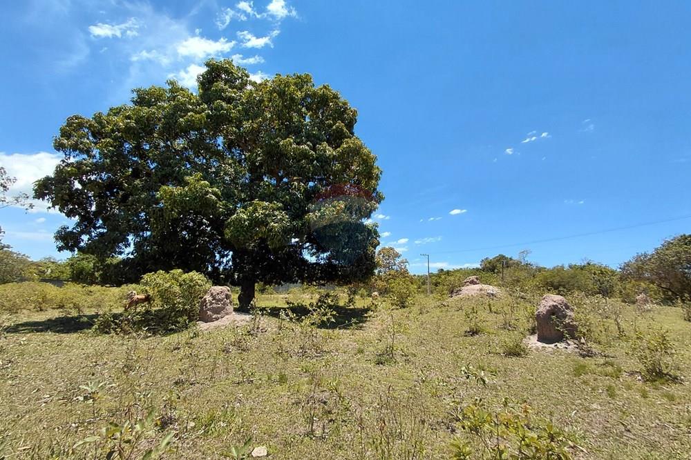 Terreno - Venda - Armação dos Búzios , Rio de Janeiro - 20251211_111615.jpg - 630391071-22
