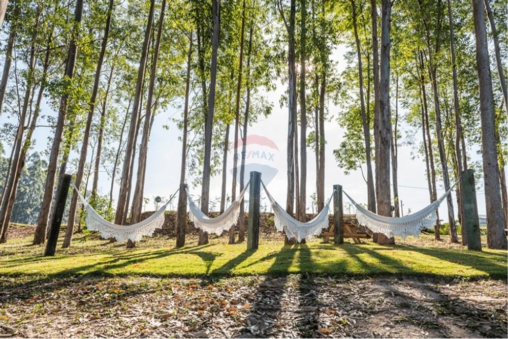 Terreno - Venda - Pardinho , São Paulo - d2c047ea8ec8e8f61c306b497753cb38.jpg - 630481103-140