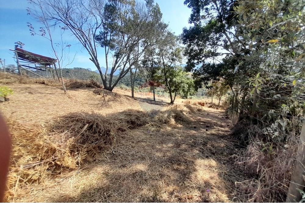 Terreno - Venda - Teresópolis , Rio de Janeiro - 4bfa11d3-bd6c-4f38-ba55-a104822aa7af.jpg - 630191084-18