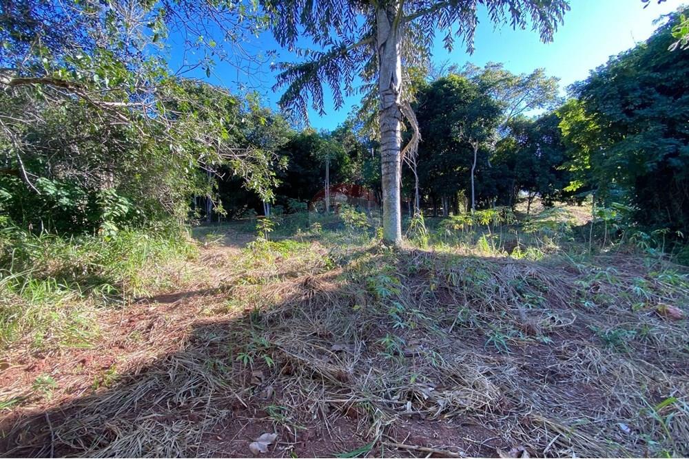 Terreno - Venda - Armação dos Búzios , Rio de Janeiro - WhatsApp Image 2025-07-08 at 11.28.25.jpeg - 630391072-18