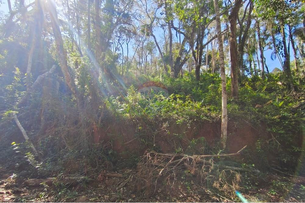 Terreno - Venda - Mairiporã , São Paulo - Terreno rafael 10.jpg - 631361059-12