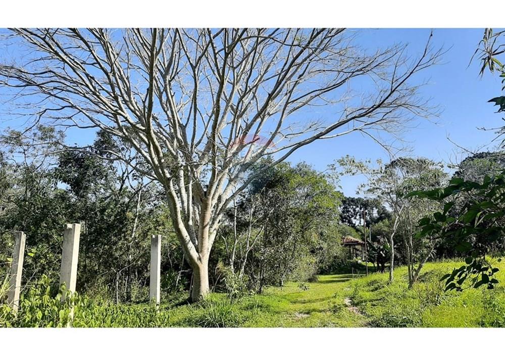 Chácara / Sítio / Fazenda - Venda - São Roque , São Paulo - dd5440db-4a14-482f-89d9-2dd3c647f468.jpeg - 631601004-22