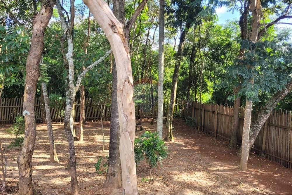 Chácara / Sítio / Fazenda - Venda - São Roque , São Paulo - WhatsApp Image 2026-01-19 at 12.52.44 (1).jpeg - 631601019-35