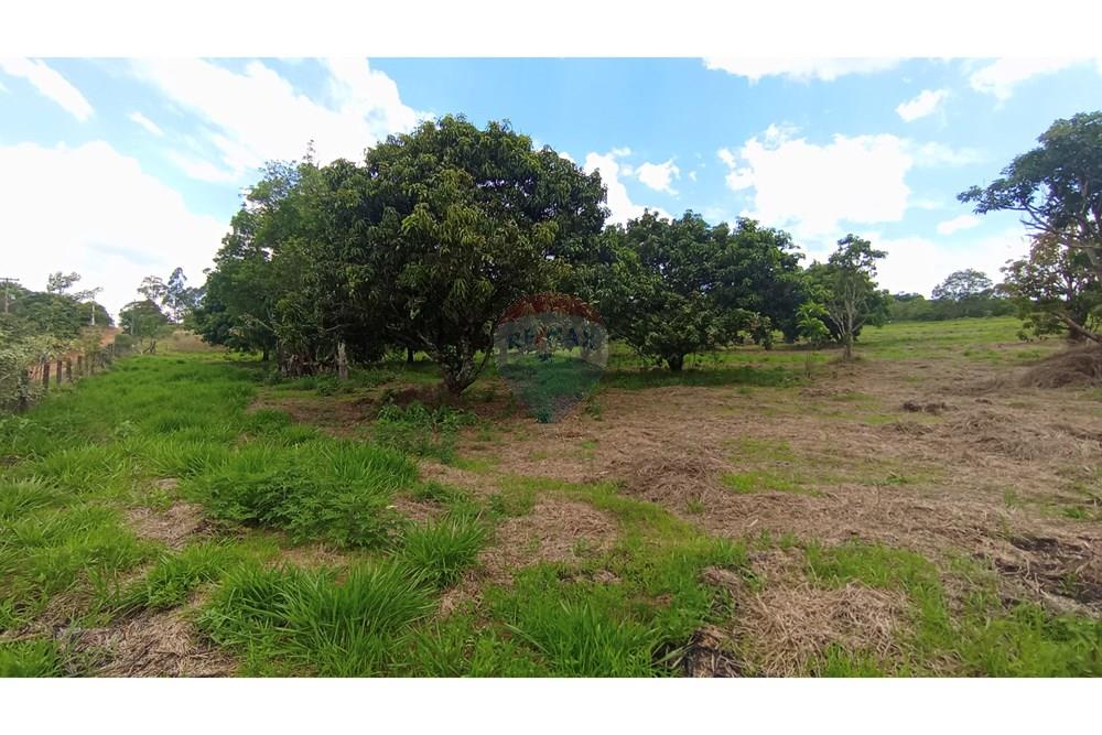 Terreno - Venda - Pardinho , São Paulo - 9-IMG_20251122_124342.jpg - Quintal - 630481103-136