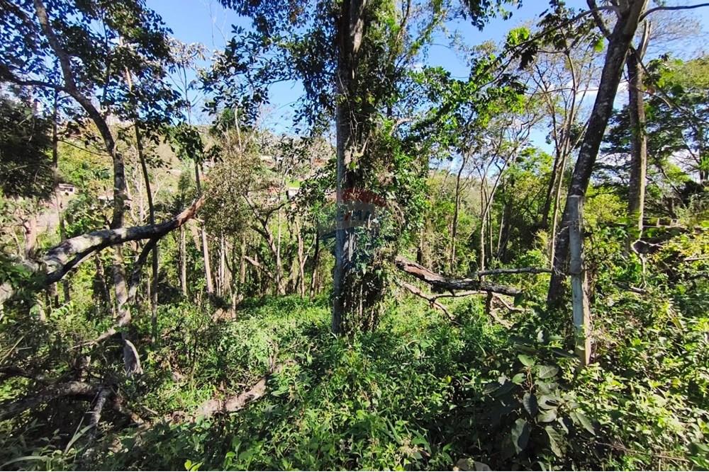 Terreno - Venda - Mairiporã , São Paulo - Terreno rafael 11 .jpg - 631361059-12