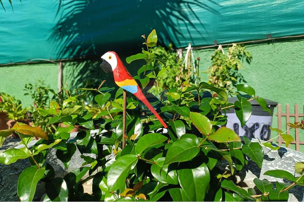 Hotel/ Pousada - Venda - Armação dos Búzios , Rio de Janeiro - IMG20250619144318.jpg - 630391042-25