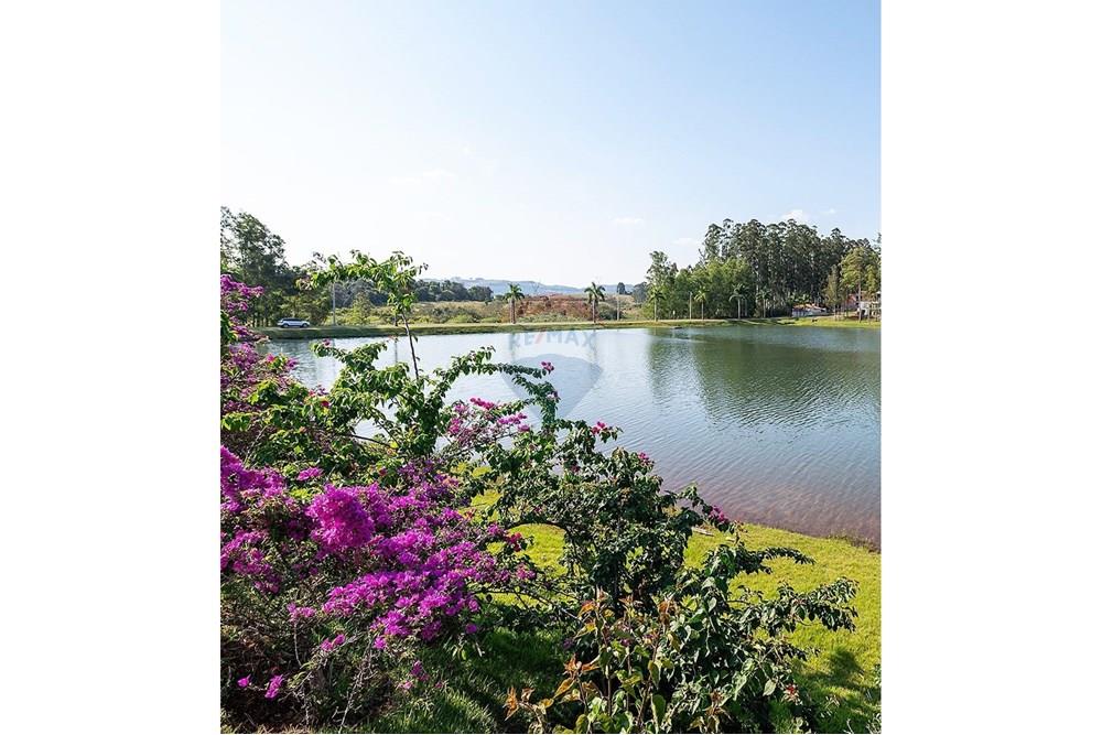 Terreno - Venda - Pardinho , São Paulo - Imagem do WhatsApp de 2025-03-21 à(s) 14.50.35_8b61eb46.jpg - 631081035-44