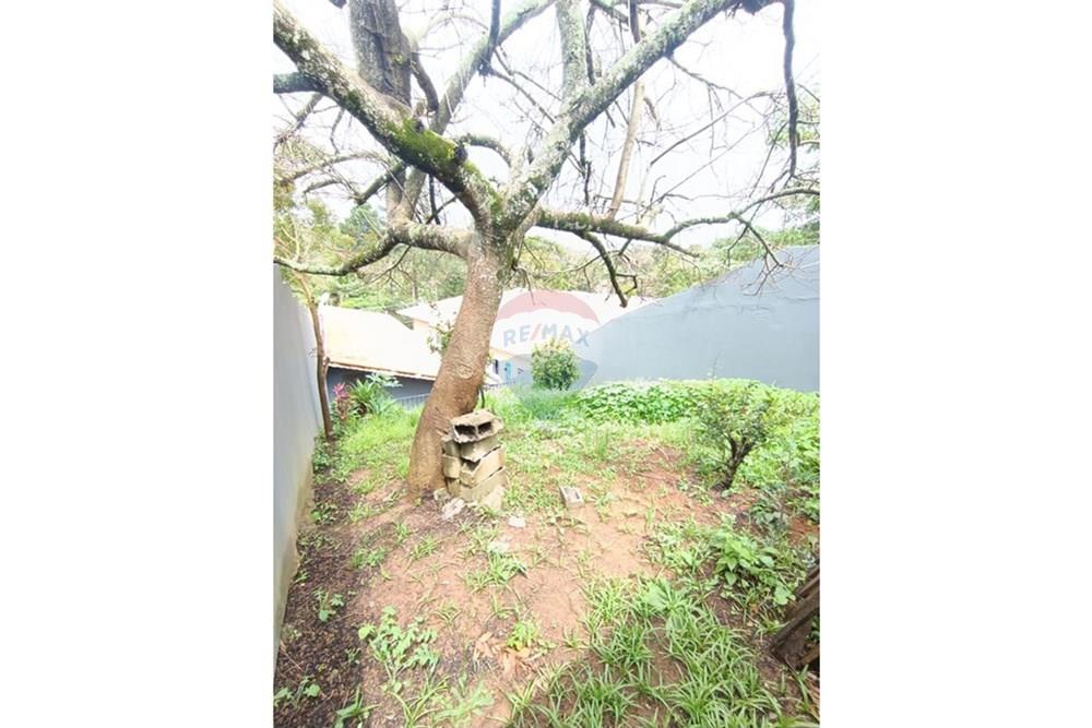 Casa - Alugar - São Roque , São Paulo - WhatsApp Image 2025-11-17 at 16.33.17.jpeg - 631601009-54