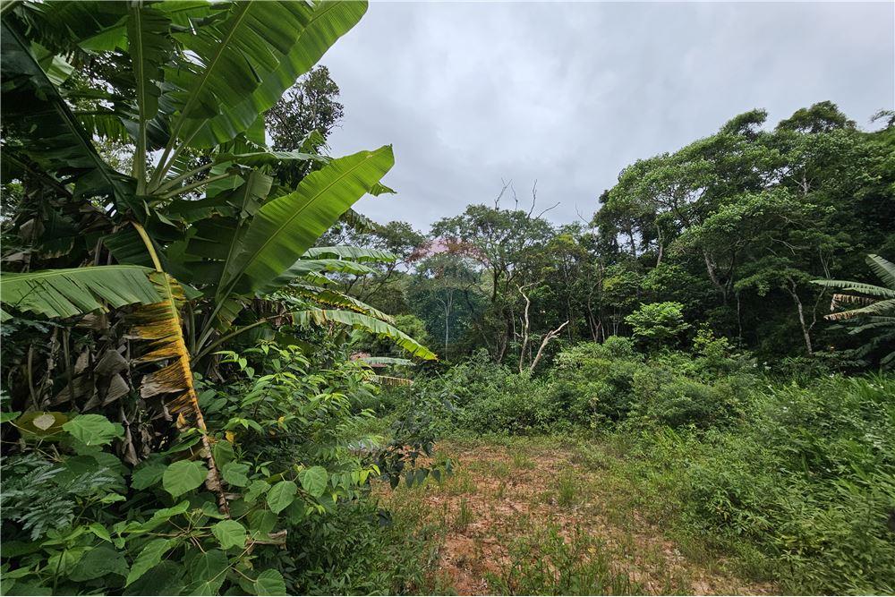 Residential - भूमि - Nova Friburgo , रिओ डे जैनेरो - BR - 34 - 630551016-143