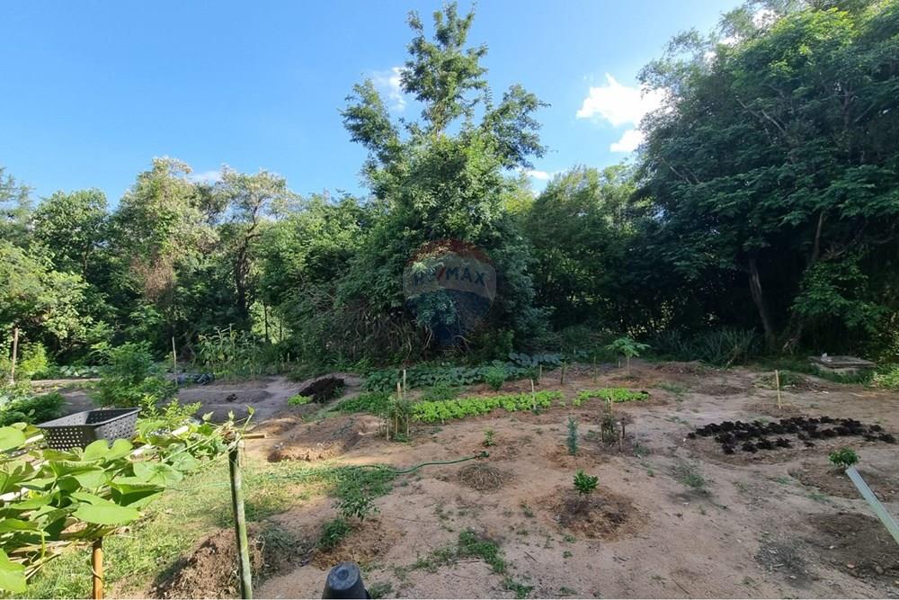 Apartamento - Alugar - Sorocaba , São Paulo - Imagem do WhatsApp de 2024-11-15 à(s) 17.12.21_2f2f4507.jpg - 630591160-78