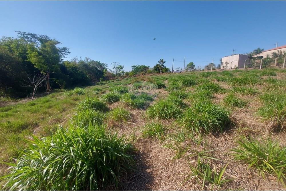 Chácara / Sítio / Fazenda - Venda - Álvares Machado , São Paulo - WhatsApp Image 2025-09-18 at 16.37.27.jpeg - 630861066-7