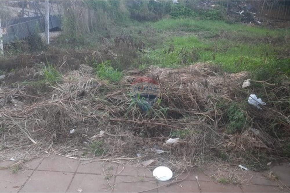 Terreno - Venda - São José do Rio Preto , São Paulo - chrome_pdVbHfM6d4.jpeg - 631321001-116