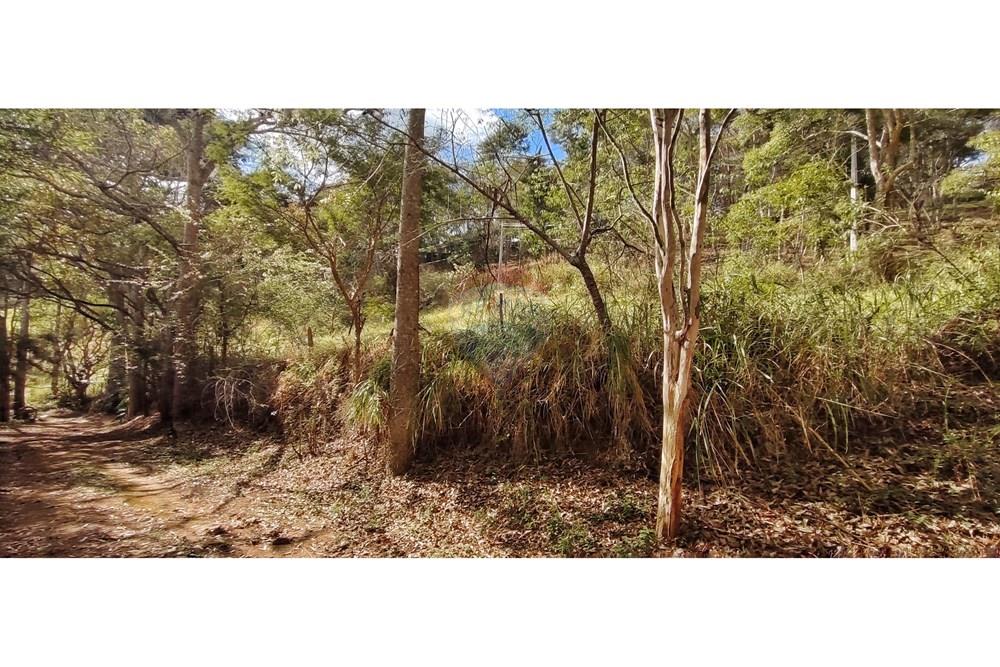 Terreno - Venda - Petrópolis , Rio de Janeiro - IMG_20250814_092503.jpg - 630131061-30