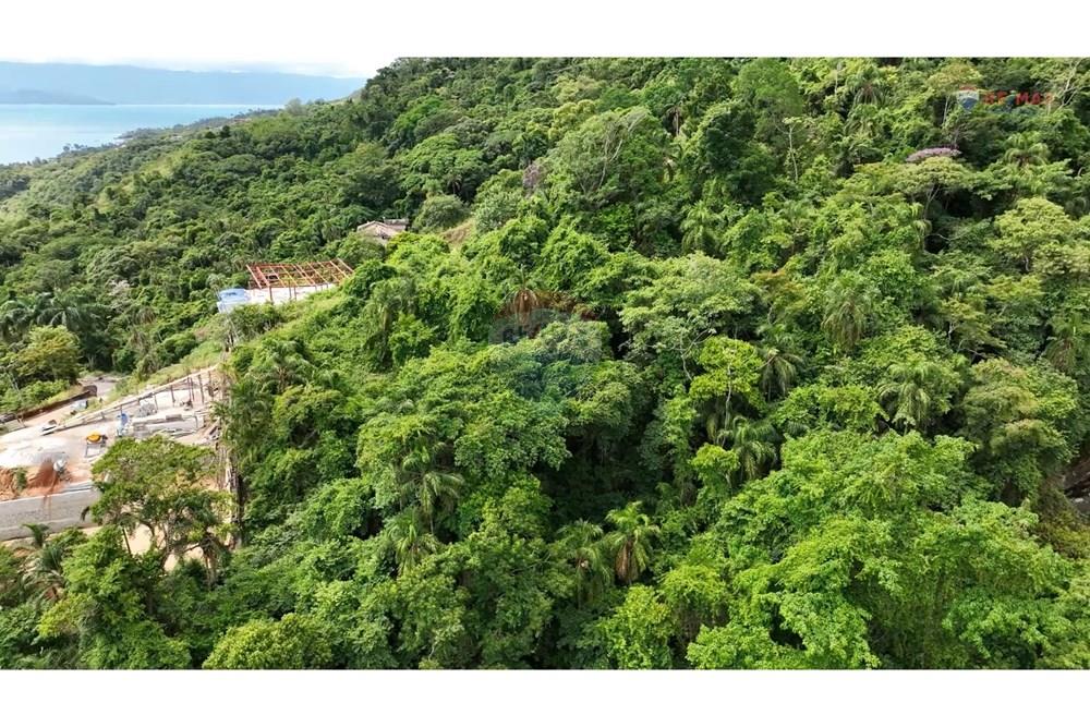 Terreno - Venda - Ilhabela , São Paulo - 2.jpeg - 630951006-34