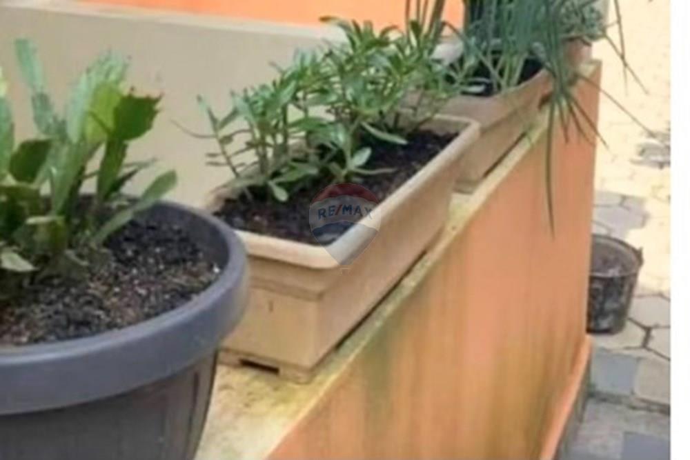 Casa - Venda - Ribeirão Pires , São Paulo - WhatsApp Image 2025-10-25 at 13.55.07 - Copia (2).jpeg - 631371049-1