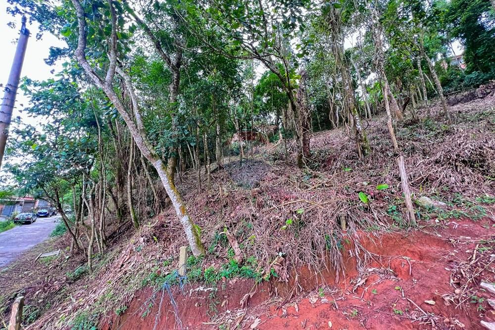 Terreno - Venda - Ribeirão Pires , São Paulo - 7.jpg - 631371054-1