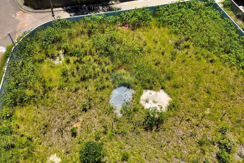 Terreno - Venda - Armação dos Búzios , Rio de Janeiro - IMG_8472 2.jpeg - 630391033-36